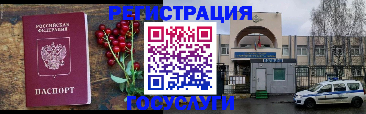 прописка 2025 в Сольцах