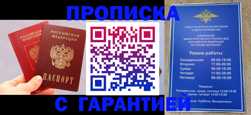 прописка паспорт в Сольцах